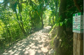 Itinerario da Ruta a Semaforo vecchio sul monte Parco di Portofino.