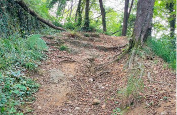 Route von Ruta zum Semaforo Vecchio auf dem Monte di Portofino