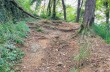 Route von Ruta zum Semaforo Vecchio auf dem Monte di Portofino