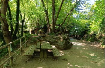 Itinerario da Ruta a Semaforo vecchio sul monte Parco di Portofino.