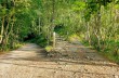 Route von Ruta zum Semaforo Vecchio auf dem Monte di Portofino