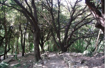 Rundweg mit Start in Rapallo und Ziel in Santa Maria del Campo