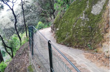Une agréable promenade de S. Margherita Ligure à Portofino