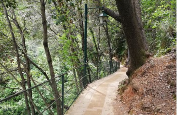 Une agréable promenade de S. Margherita Ligure à Portofino