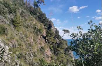 Cala Vitrale, ein unbekannter Weg im Naturpark Portofino