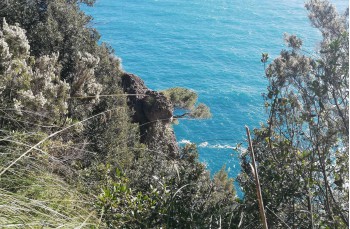Cala Vitrale, ein unbekannter Weg im Naturpark Portofino