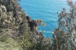 Cala Vitrale, ein unbekannter Weg im Naturpark Portofino