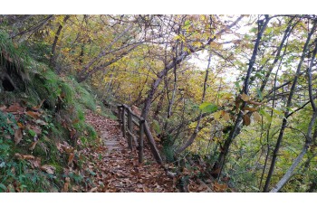 Loop trail from Santa Margherita Ligure through Costasecca and Nozarego