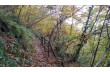 Loop trail from Santa Margherita Ligure through Costasecca and Nozarego