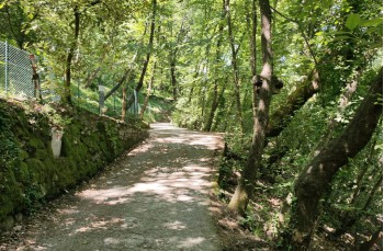 Rundweg mit Start in Rapallo und Ziel in Santa Maria del Campo