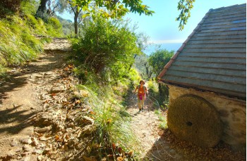 Percorso ad anello da Santa Margherita Ligure a San Fruttuoso di Camogli e ritorno.