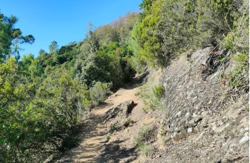 Rundweg von Santa Margherita Ligure nach San Fruttuoso di Camogli und zurück