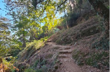 Ring trail from Santa Margherita Ligure to S. Fruttuoso.