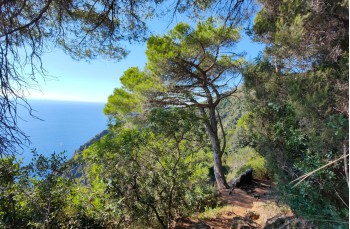 Itinéraires en boucle de Santa Margherita à San Fruttuoso et retour.