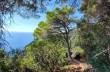 Itinéraires en boucle de Santa Margherita à San Fruttuoso et retour.