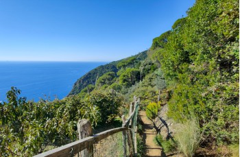 Ring trail from Santa Margherita Ligure to S. Fruttuoso.