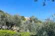 Itinéraires en boucle de Santa Margherita à San Fruttuoso et retour.