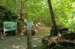 Ring trail from Santa Margherita Ligure to S. Fruttuoso.