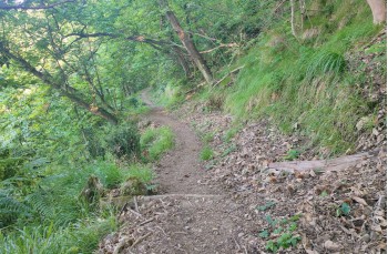 Ring trail from Santa Margherita Ligure to S. Fruttuoso.