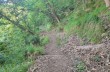 Ring trail from Santa Margherita Ligure to S. Fruttuoso.