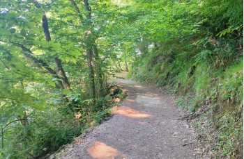 Ring trail from Santa Margherita Ligure to S. Fruttuoso.