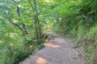 Rundweg von Santa Margherita Ligure nach San Fruttuoso di Camogli und zurück