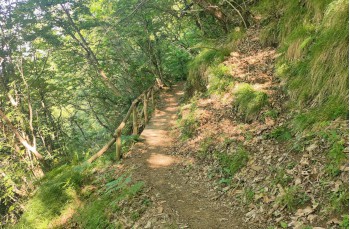 Itinéraires en boucle de Santa Margherita à San Fruttuoso et retour.