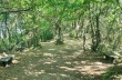 Rundweg von Santa Margherita Ligure nach San Fruttuoso di Camogli und zurück