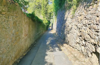 Percorso ad anello da Santa Margherita Ligure a San Fruttuoso di Camogli e ritorno.