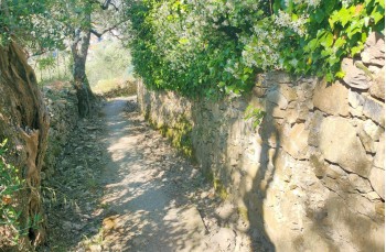 Percorso ad anello da Santa Margherita Ligure a San Fruttuoso di Camogli e ritorno.