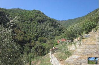 Weg von Zoagli nach Semorile und San Pietro di Rovereto