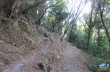 Weg von Zoagli nach Semorile und San Pietro di Rovereto