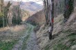 Loop trail Torriglia - Bavastri - Lago del Brugneto
