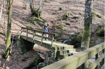 Trail ad anello Torriglia - Bavastri - Lago del Brugneto - Garaventa