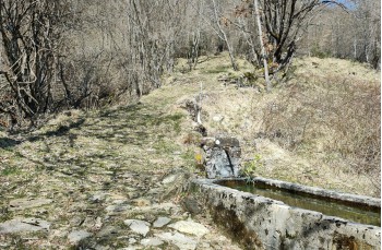 Loop trail Torriglia - Bavastri - Lago del Brugneto