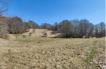 Trail ad anello Torriglia - Bavastri - Lago del Brugneto - Garaventa