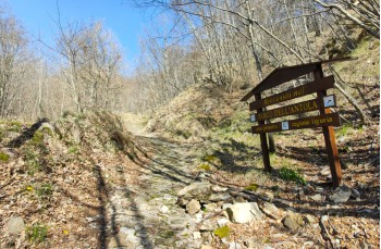 Trail ad anello Torriglia - Bavastri - Lago del Brugneto - Garaventa