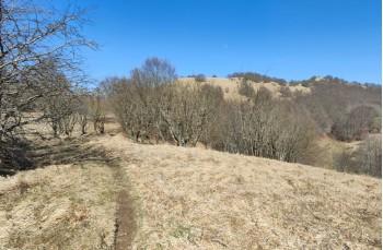 Trail ad anello Torriglia - Bavastri - Lago del Brugneto - Garaventa