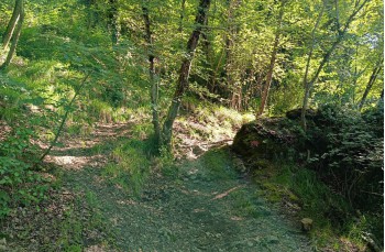 Trail von Santa Margherita Ligure nach Camogli