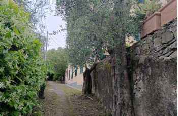 Trail von Santa Margherita Ligure nach Camogli