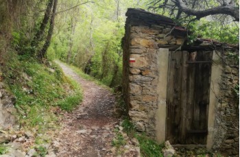 Sentiero per Campodonico