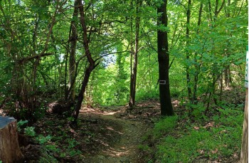 Trail von Santa Margherita Ligure nach Camogli