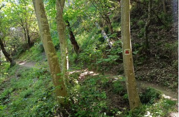 Trail von Santa Margherita Ligure nach Camogli