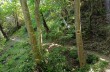Trail von Santa Margherita Ligure nach Camogli