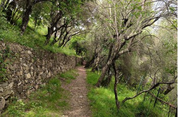 Rundweg von Santa Margherita Ligure über Costasecca und Nozarego