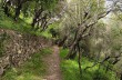 Loop trail from Santa Margherita Ligure through Costasecca and Nozarego