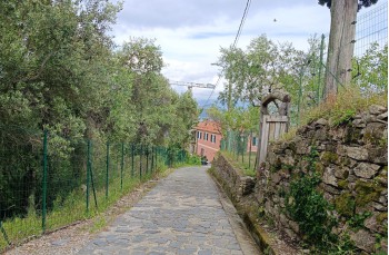 Rundweg von Santa Margherita Ligure über Costasecca und Nozarego