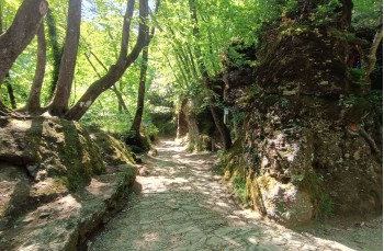 Rundweg auf dem Monte di Portofino von San Lorenzo nach Olmi und Gave