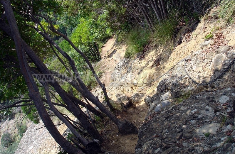 San Rocco San Fruttuoso A Piedi