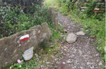 Loop trail San Pietro di Rovereto - Campodonico - Monte Anchetta